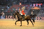 Cavalry - 00117